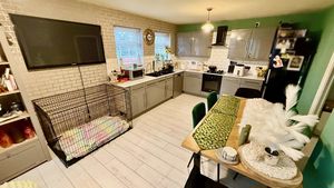 Photo 3- click for photo gallery